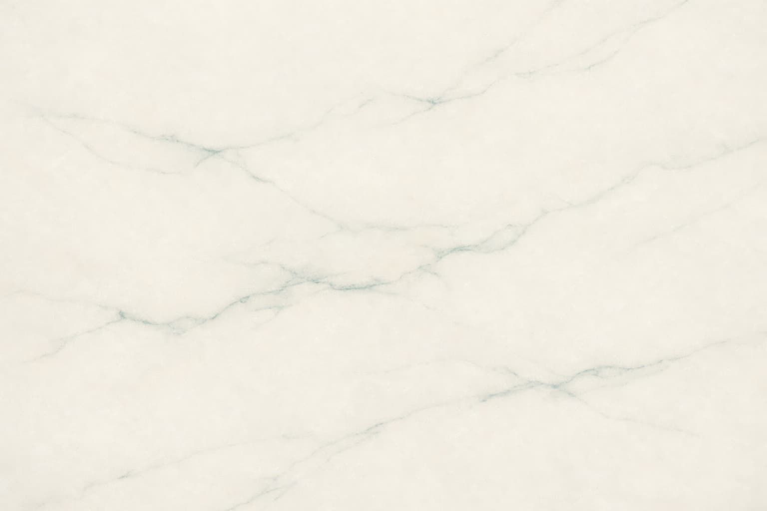 Luxury in-home dog grooming experience in Round Rock, Texas